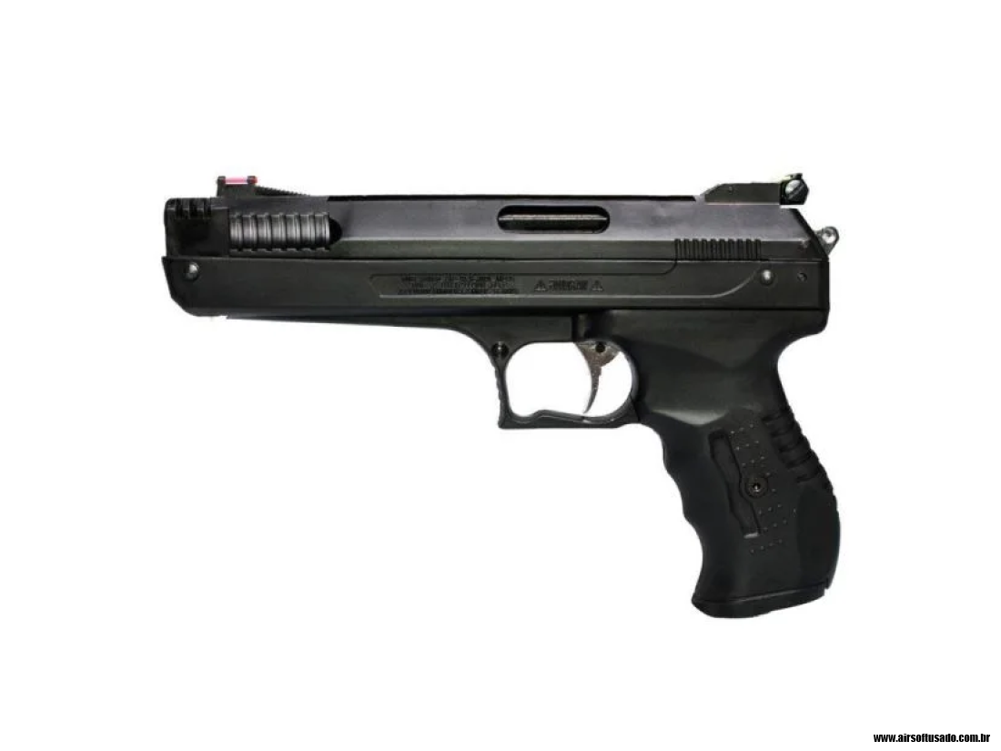 Case com 2 Air Guns
